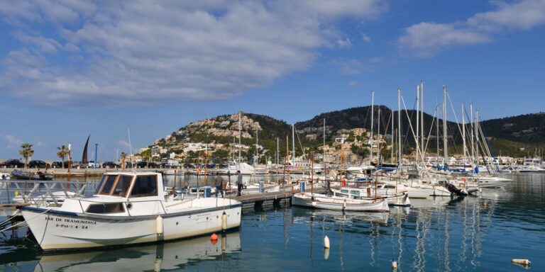 Jachthaven met afgemeerde boten en palmbomen aan de kust van Mallorca