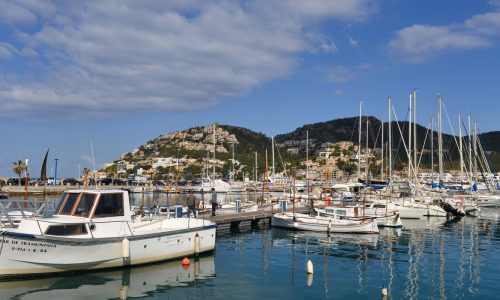 Jachthaven met afgemeerde boten en palmbomen aan de kust van Mallorca